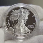 2001 W 1oz US American Silver Eagle $1 Dollar Proof Bullion Original Capsule