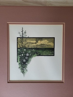Juan Ricardo etching Landscape scene / Floral flowers Limited 18/100