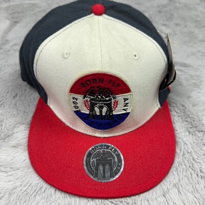 Born Fly Hat Originals Any Town USA Snap Back Cold As Ice