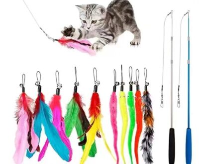 Retractable Wand Cat Interactive Feather Toys for Teaser Play Kitten Exercise