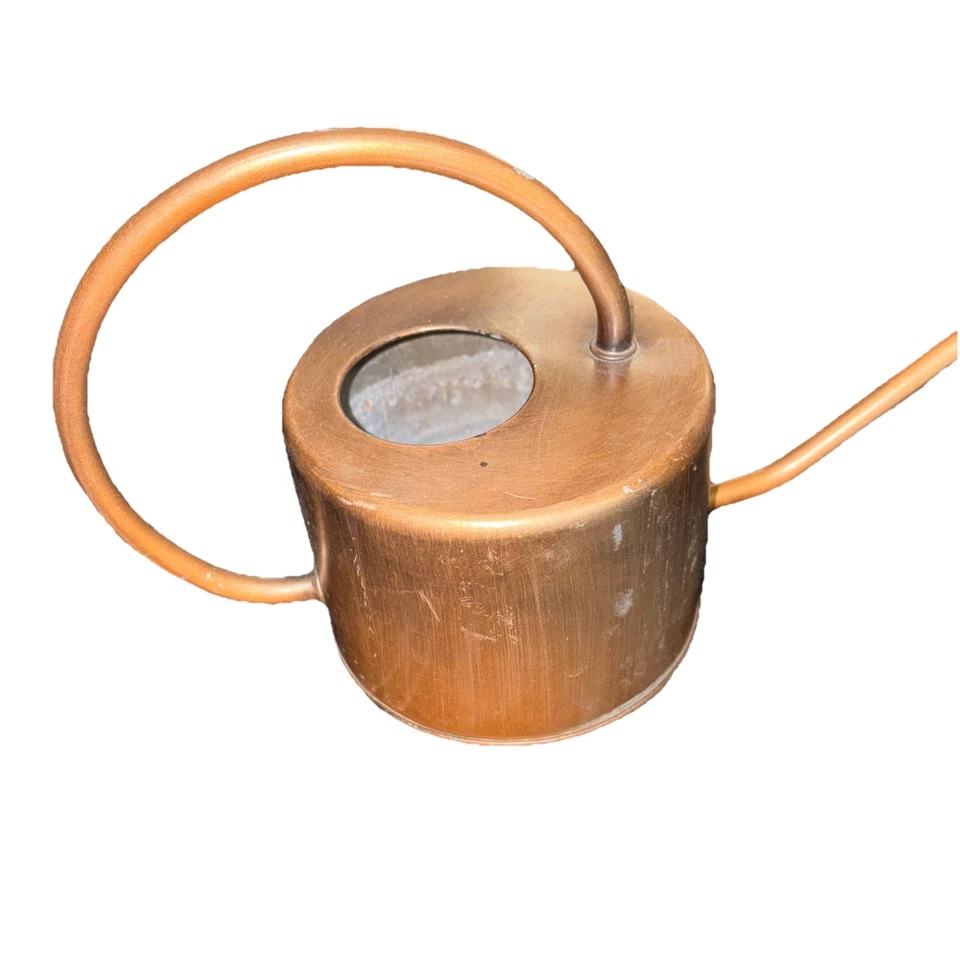 LATA DE AGUA estilo ART DECO violetas orquídeas mango arqueado caño largo de colección Foto 3 de 4