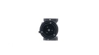 Mahle Kompressor Klimaanlage Premium Line ACP 1564 000P 12V FüR Fiat Tipo LPG