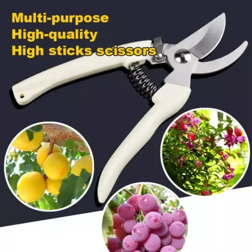 Garden Pruning Shears Pruning Scissors Secateurs Tree Branches Pack of 2 - Picture 4 of 16