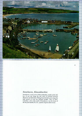 (8306) STONEHAVEN Kincardineshire 2-teiliger Steckling - um 1970