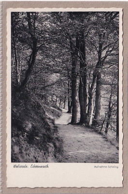 Postcard Walsrode - Lot at Eckernworth - Black & White