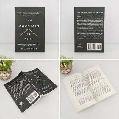 The Mountain Is You: Transforming Self-Sabotage Into Self-mastery English Books