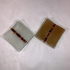 Set Of 2 Art Glass Multicolor Squares Mini  3.25” Square Dish Glass VTG