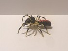 Handmade Hand-painted 3.5" Camel Spider Sun Spider Solifugae Figurine Replica — photo 7