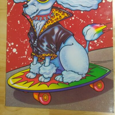 Vintage Lisa Frank Skateboarding Poodle Stuart Hall #8494 Folder