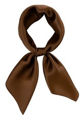 Brown Satin Scarf 19x19, Western Cowboy Cowgirl Bandana, Boho Coastal Ranch Wear
