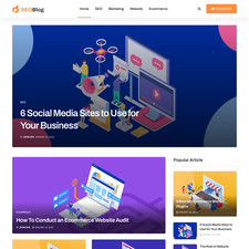 SEO Website Design with Free VPS Web Hosting and Installation