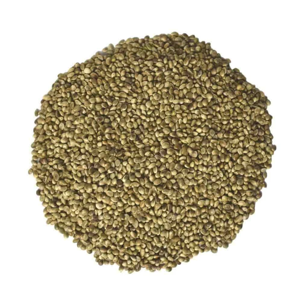 Hanfsaat 10kg für Vögel, Nager und Pferde Hanfsamen Futterhanf Vogel Nager Pferd - Bild 3 von 3