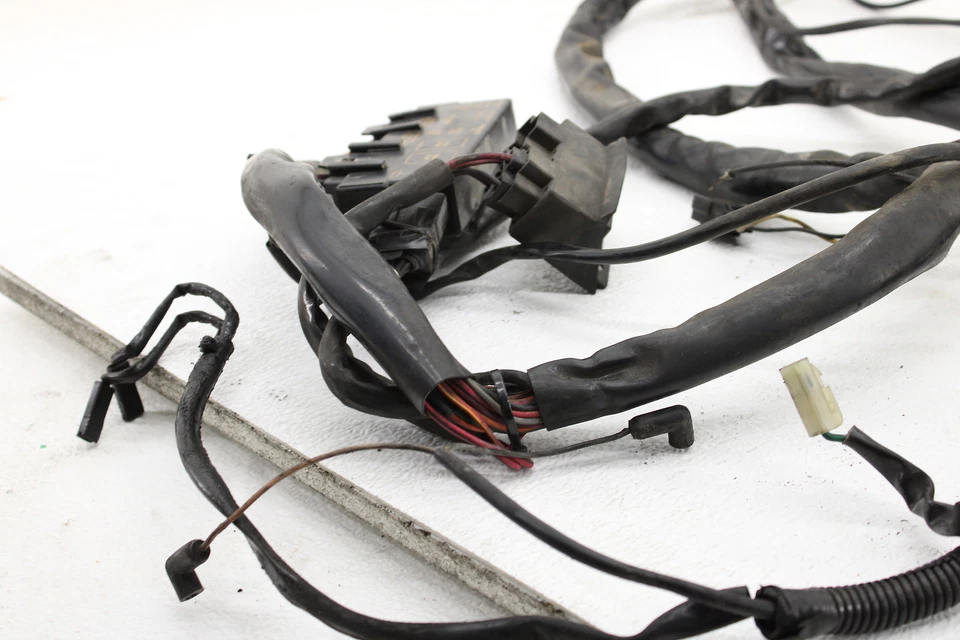 Arnés de cableado del motor principal Harley Davidson Electra Glide 2000 Foto 2 de 4