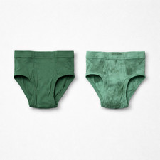 Boys Hanes Brief Underwear, Brand New, 2pk, Green, Kids, Under Garments