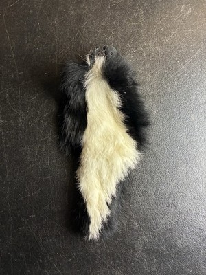 Skunk Pelt Bag Fur Taxidermy Tanning Oddity