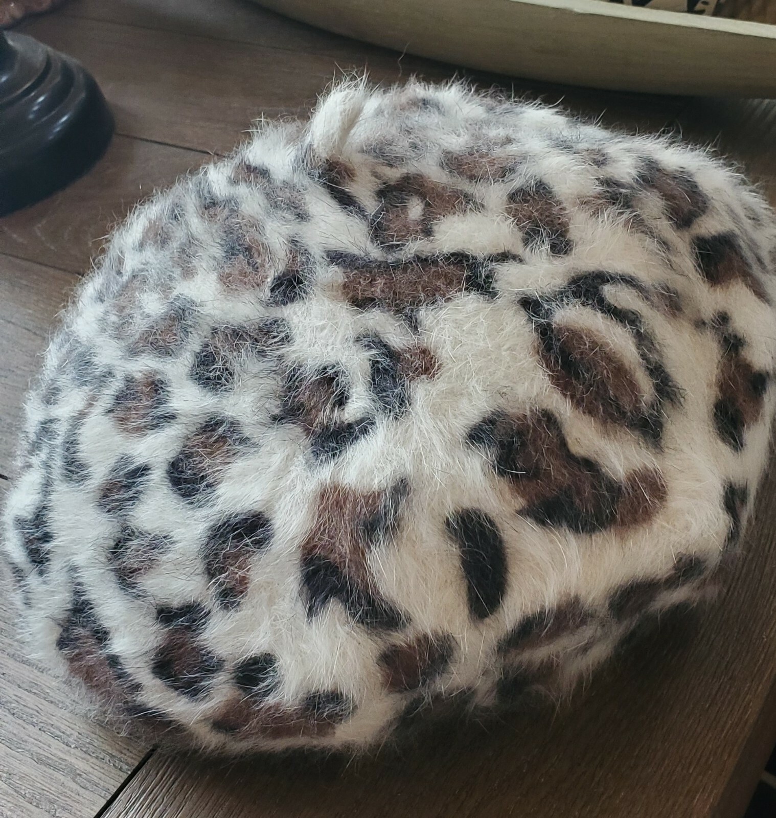 Picture 4 of 5