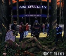 Dozin at the Knick von Grateful Dead | CD | Zustand sehr gut