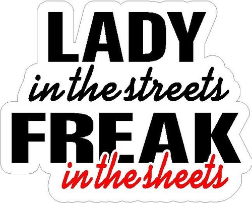 Lady In The Streets Freak In The Sheets Funny Decal / Sticker