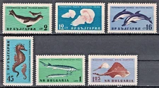 BULGARIA:1961 SC#1164-69 MNH Black Sea Fauna AP1399