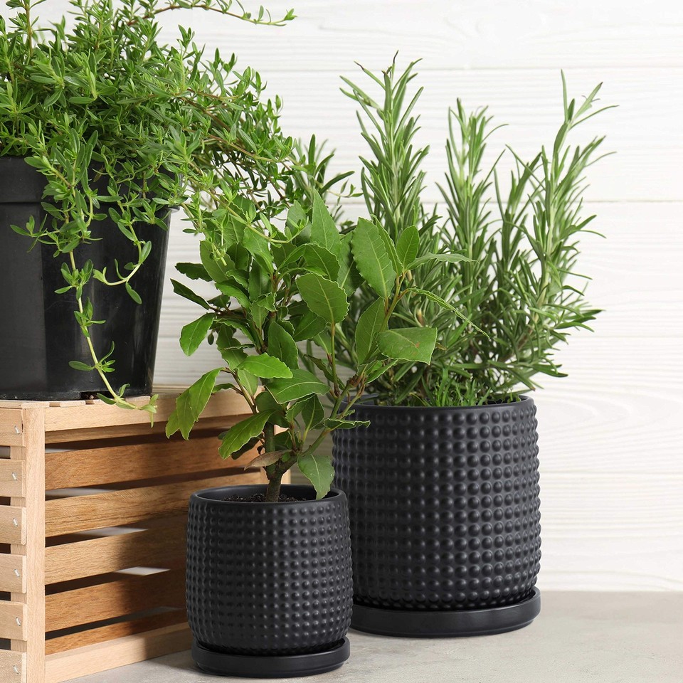 6 Inch 4 Inch Ceramic Indoor Planter Pots with Drainage Hole and Saucer