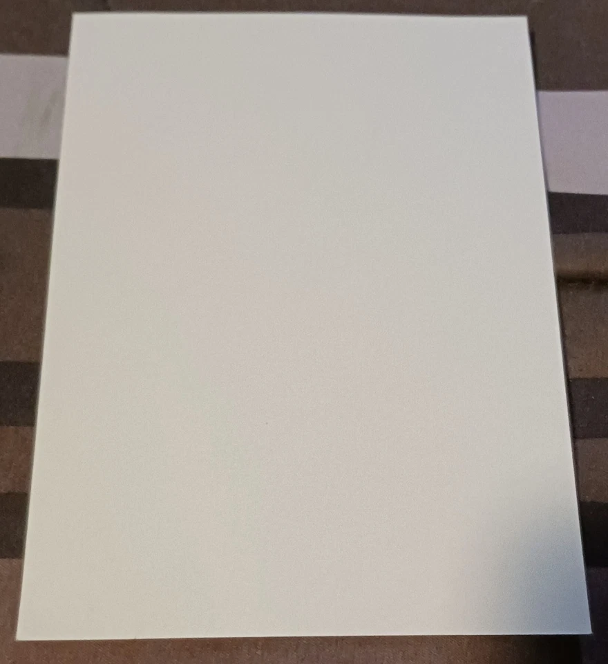 ⛓️INFEST⛓ Japan Tour 2017 Postcard Flier RARE Crossed Out MITB Neanderthal Siege - Image 2 of 2