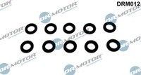Dichtungsring, EinspritzdüSe Dr.Motor Automotive DRM012