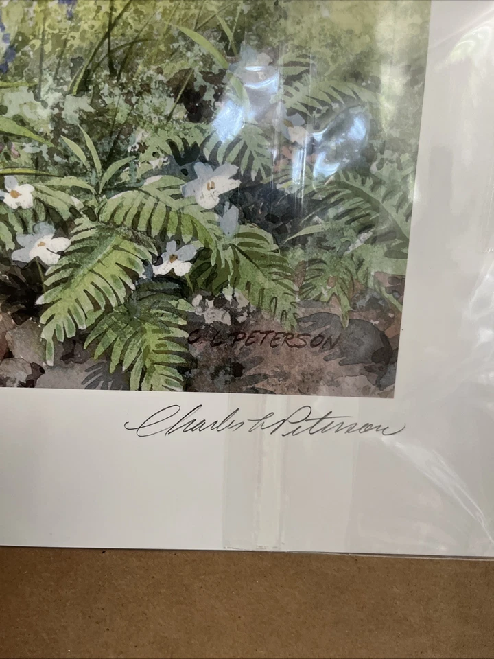 Charles Peterson Garden Party prueba de artista 93/260 Foto 4 de 4