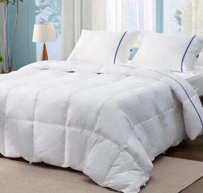 Mr. Ye Home Collection Queen Size Comforter All Seasons Quilted Down Comforter