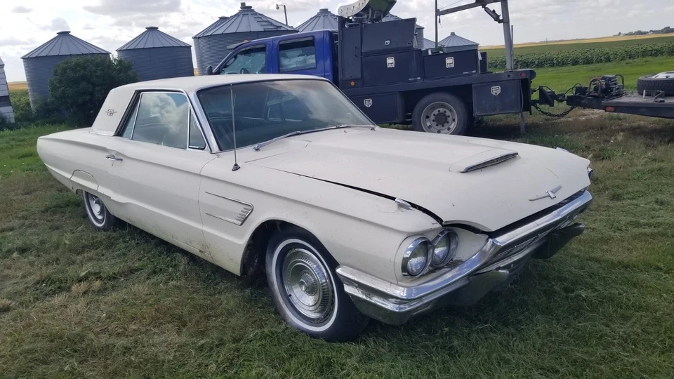 Par de paneles de puerta y molduras y luces 65 1965 Thunderbird Ford T Bird Parting 1964-66 Foto 4 de 4