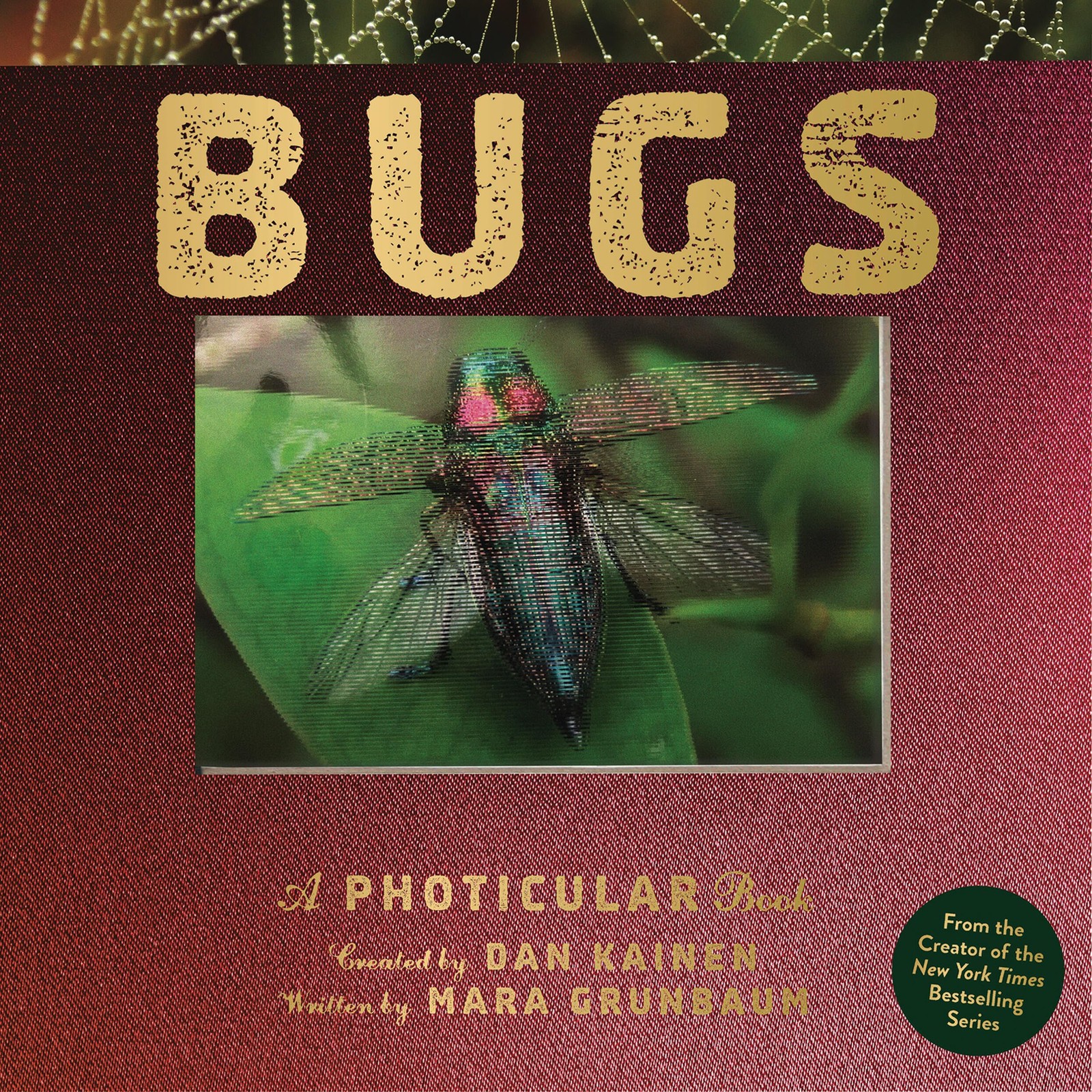 Bugs: A Photicular Book by Dan Kainen - Image 7