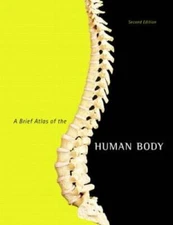 A Brief Atlas of the Human Body - Spiral-bound By Hutchinson, Matt - VERY GOOD