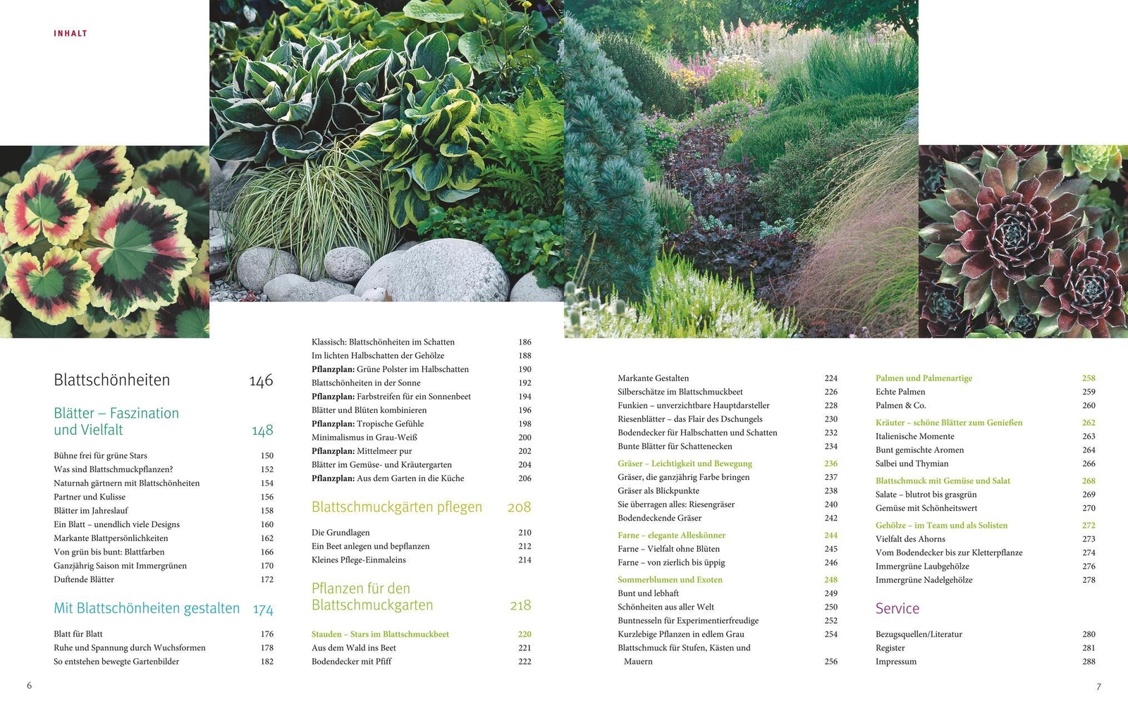 Thumbnail - Ganzjährig Attraktive Beete Mit Blatt Und Blüte Ute Bauer