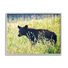 Baby Bear Tall Grassland Framed Giclee Art Wall Decor by Rick Berk Print