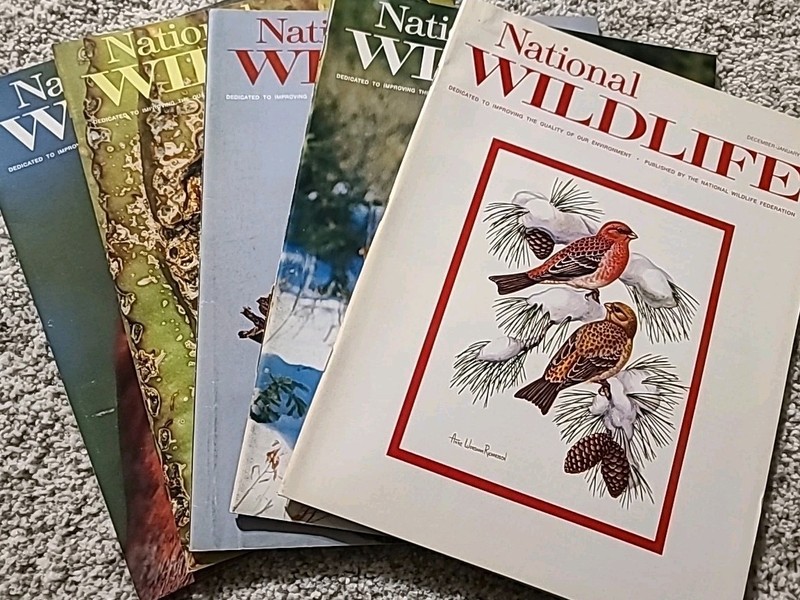 National Wildlife Magazine – Complete 1973 Year (5 Issues) – Clean Vintage Lot