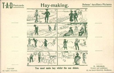 Ak Delmas' Auxiliary Pictures, Hay-making, You must make hay... - 4745099