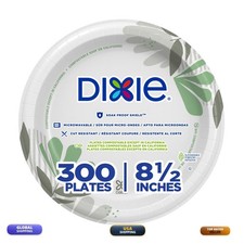 Dixie 8 1/2 Inch Medium-Weight Disposable Paper Plates Pathways 300 Count Bulk