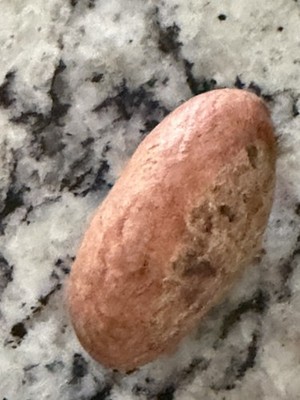 Fresh Organic African Bitter Kola (Garcinia Kola) 1LB--  (New Crop)