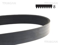 Triscan Keilrippenriemen 8640 802093 FüR Range Landrover Discovery VAN L320 L319