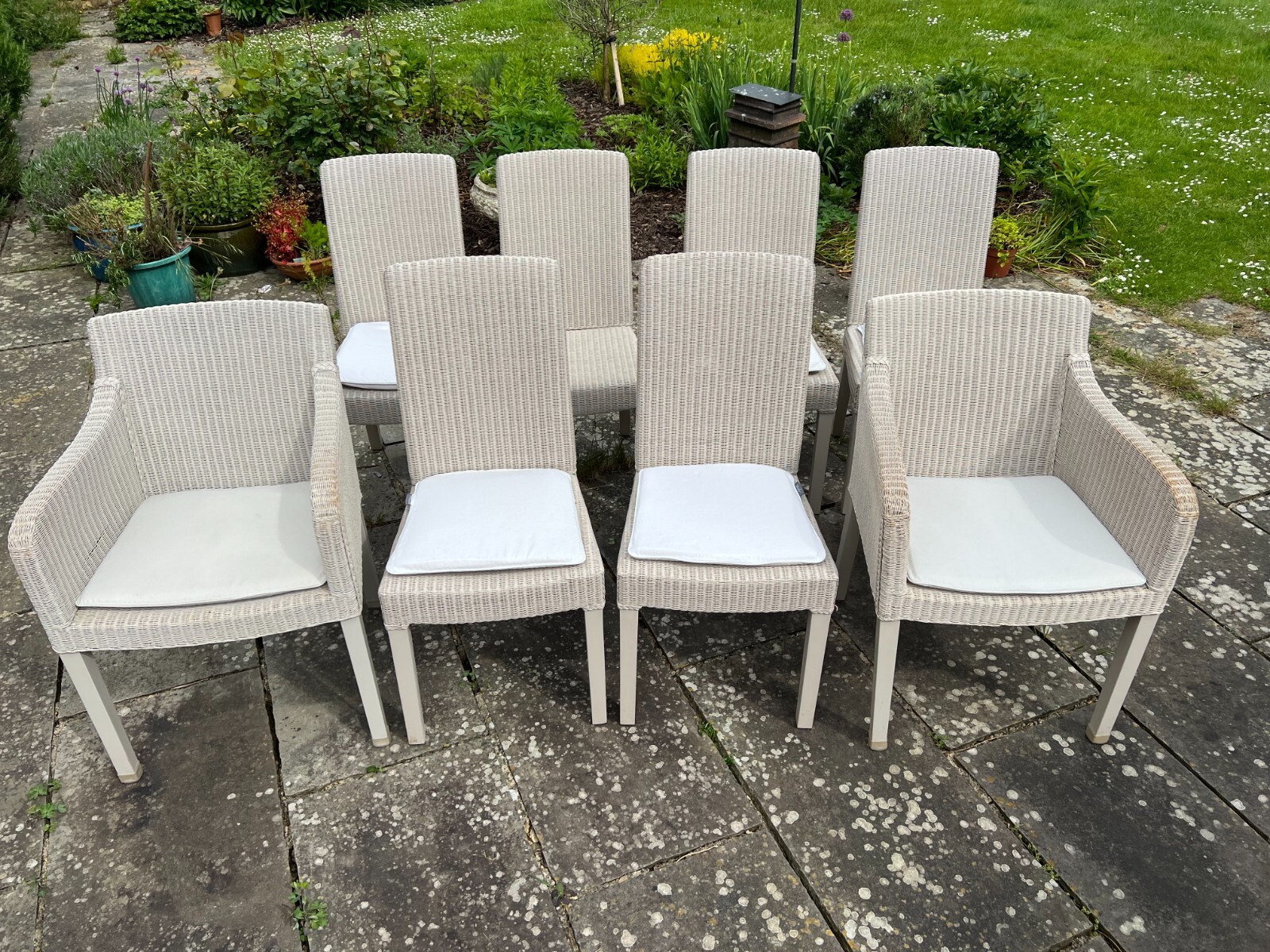 NEPTUNE LLOYD LOOM 6 MONTAGUE DINING CHAIRS and 2 ANTIGUA ARM CHAIRS eBay