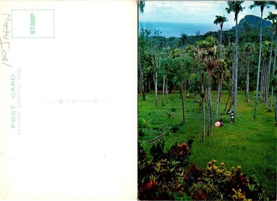Kenting National Park Taiwan Postcard Unposted Scenic Palm Trees Vintage Color