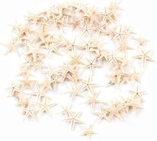Tiny Miniature Fairy Garden Beach Critter Starfish Marine Life Collection for
