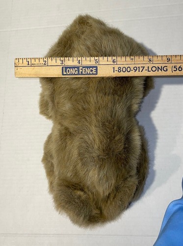 Folkmanis Grizzly Bear Cub Hand Puppet Full Body 15" Plush Realistic Stuffed Toy - Picture 12 of 12