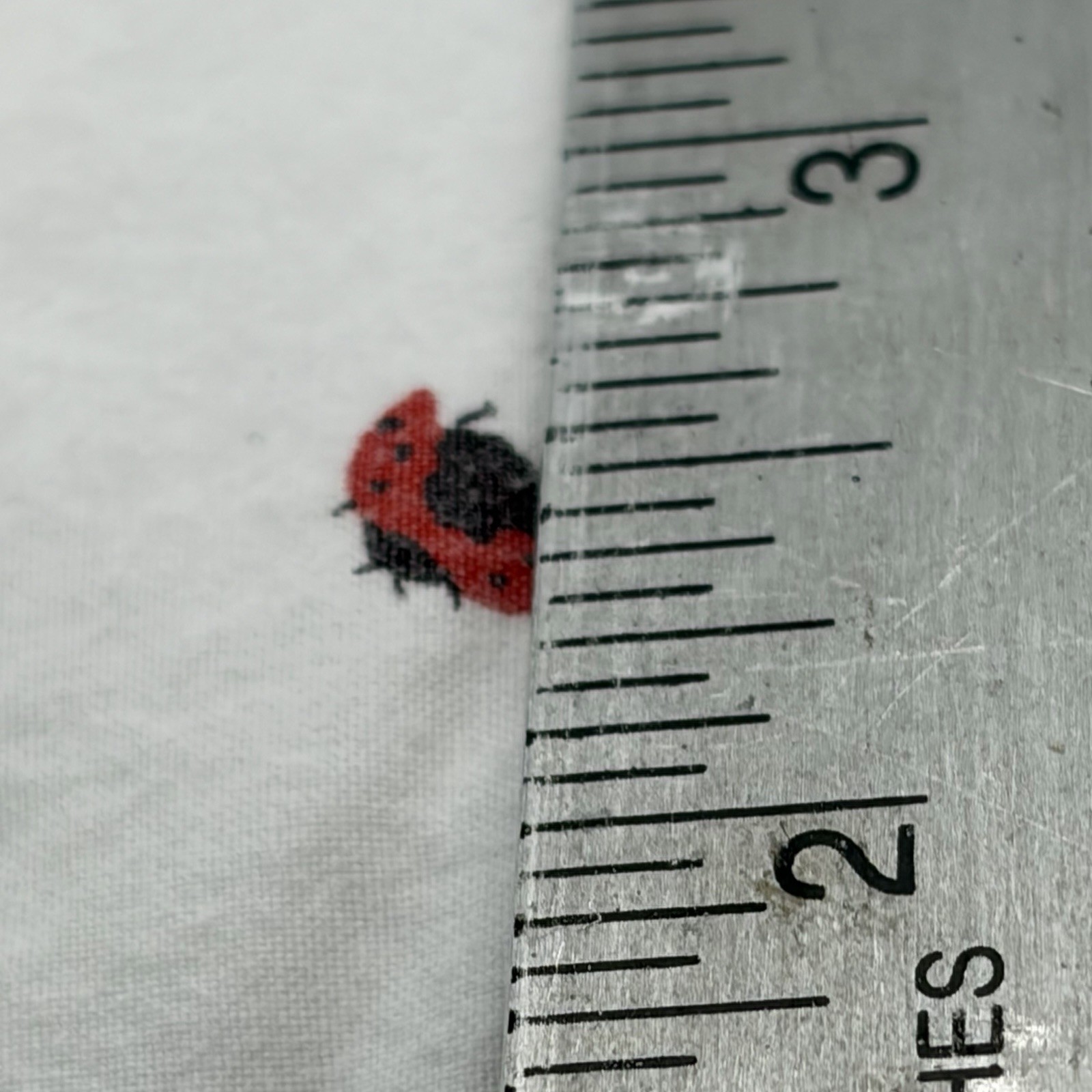 Ralph Lauren Red Ladybug White Twin Fitted Sheet Gently Used thumbnail 3