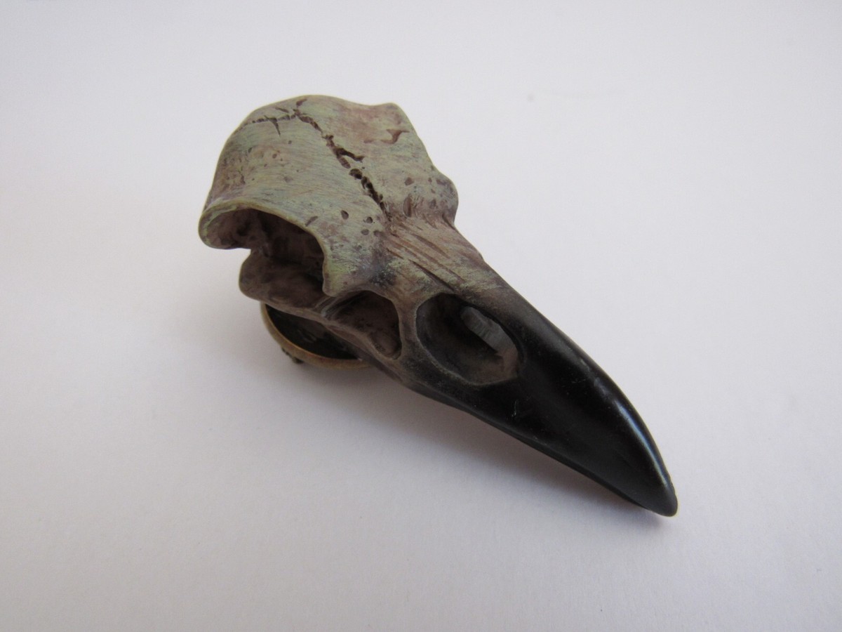 Raven Skull Brooch Bird Skull Goth Raven Dark Jewelry Resin N4913