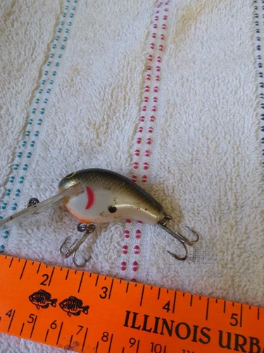 VTG BAGLEY CRANKBAIT DEEP DIVER BALSA SHAD NEON ORANGE Belly Black/silver/white