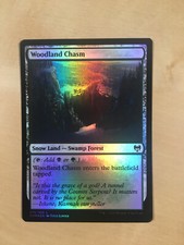 MTG - Woodland Chasm. Kaldheim.  Foil Common - Snow Land — Swamp Forest.