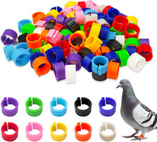 200 Pcs 8mm Chicken Leg Bands for Coturnix Quail,Baby Chicks and Pigeons,Colo...