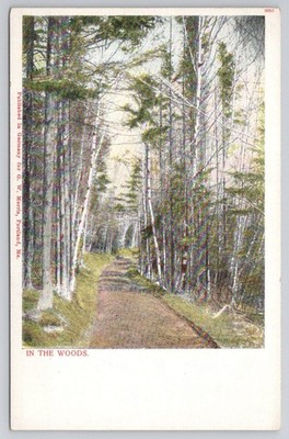 1903 IN THE WOODS Postcard - G.W. Morris, Portland, Me. - Germany Printed