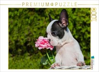 Calvendo Puzzle FranzöSische Bulldogge | 1000 Teile Lege-GrößE 64X48Cm Foto-Puzz