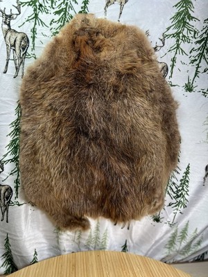 Professionally Tanned Beaver Pelt